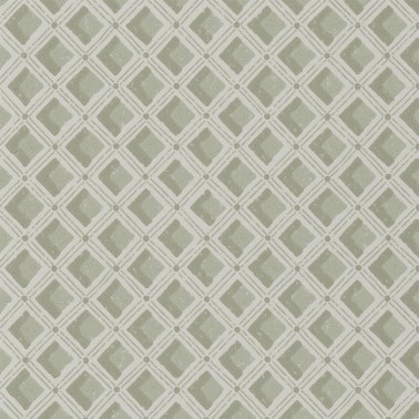 Amsee Geometric Lichen PEH0002-04