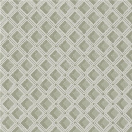 Amsee Geometric Lichen PEH0002-04