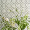 Amsee Geometric Lichen PEH0002-04