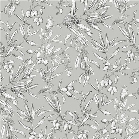 Aceituna Plata A00500