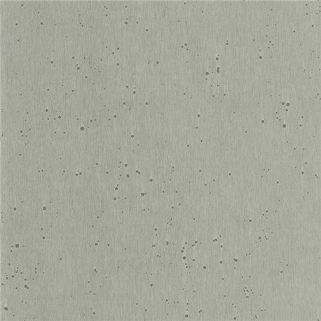 Burnished Patina Silver AC9212 Burnished Patina Silver AC9212