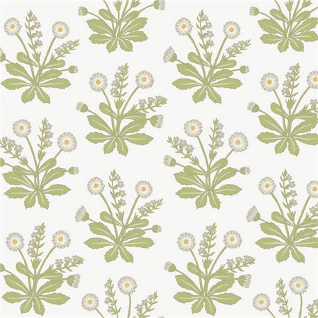 Meadow Flowers White AC9155 Meadow Flowers White AC9155
