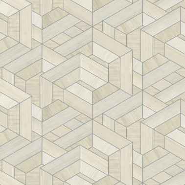Hexagon Swan A00444