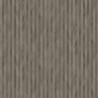 Wheat Spike Mole A00436