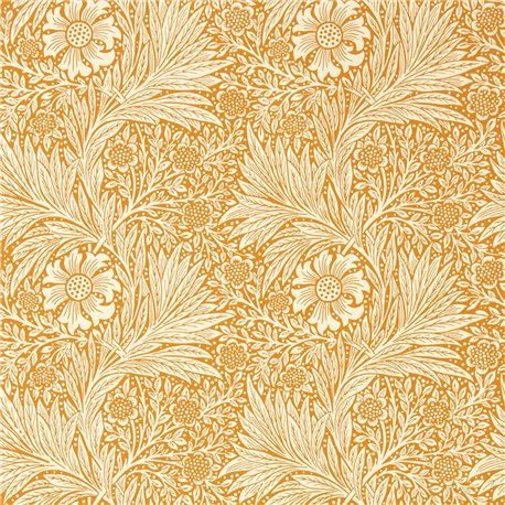 Marigold Orange MCOW217093