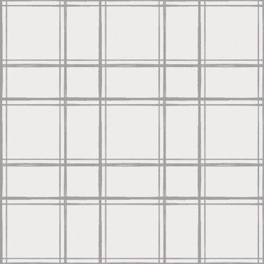 H0676 Graph Paper Grey