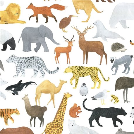 H0720 Animalia H0720 Animalia