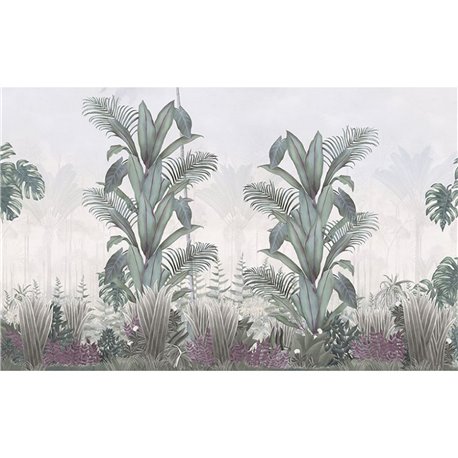 BOTANY SOFT BOTANY SOFT