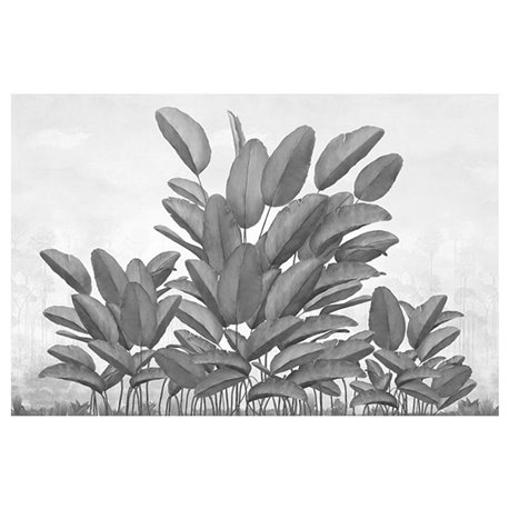 BUCAY GRAPHITE BUCAY GRAPHITE