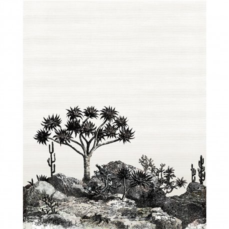 Yucca PAN211 Yucca PAN211