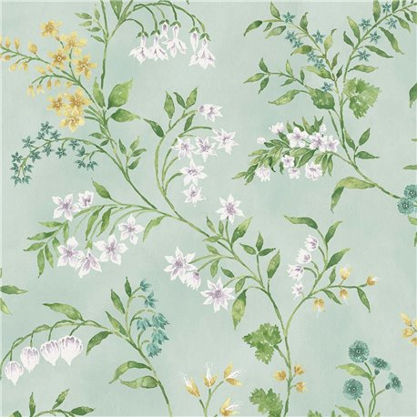 Almora NCW4491-05 Almora NCW4491-05