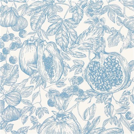 Melograno Celestial Fig Blossom HQN3112924 Melograno Celestial Fig Blossom HQN3112924