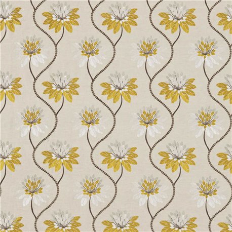 Eloise Marigold HWHI131545 Eloise Marigold HWHI131545