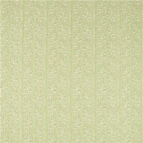Khorol Sage Shitake HQN3133905 Khorol Sage Shitake HQN3133905
