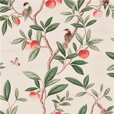 Ella Powder Sage Peach HDHW112907 Ella Powder Sage Peach HDHW112907