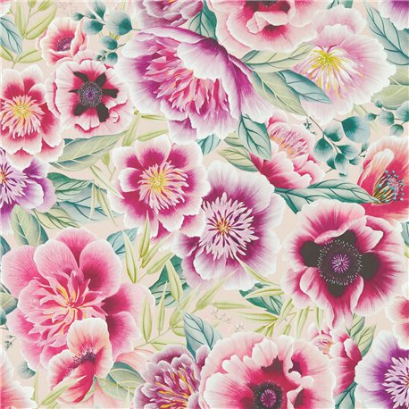Marsha Powder Peony Magenta HDHW112902 Marsha Powder Peony Magenta HDHW112902
