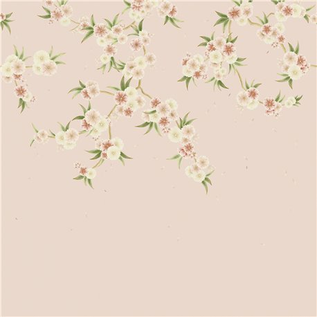 Rosa Blush Pearl Peony Meadow HDHW112887 Rosa Blush Pearl Peony Meadow HDHW112887