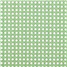 Lovelace Apple Paper Lantern HDHP121105