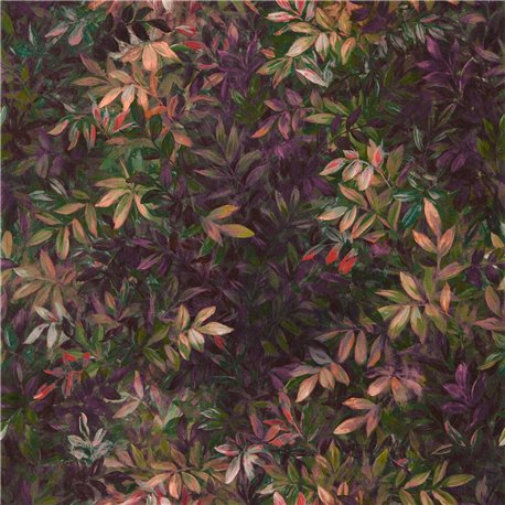Congo Amethyst Emerald W0140-01 Congo Amethyst Emerald W0140-01