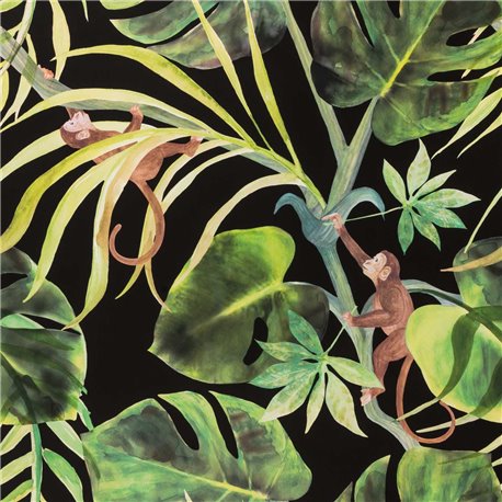 Monkey Business Ebony W0083-01 Monkey Business Ebony W0083-01