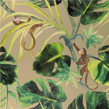 Monkey Business Gilver W0083-02 Monkey Business Gilver W0083-02