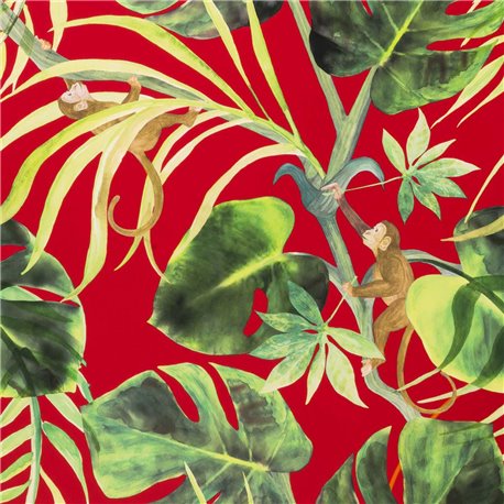 Monkey Business Rouge W0083-05 Monkey Business Rouge W0083-05