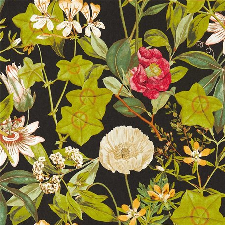Passiflora Noir W0143-04 Passiflora Noir W0143-04