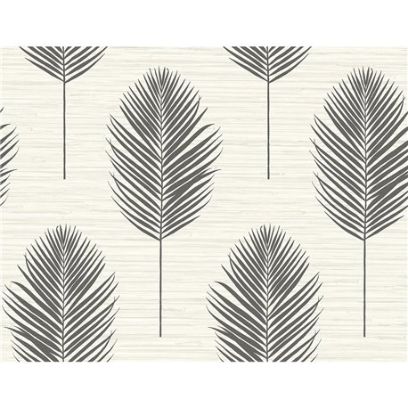 Bali Fern 2988-70210.jpeg Bali Fern 2988-70210.jpeg