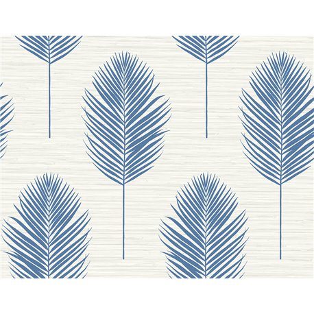 Bali Fern 2988-70212.jpeg Bali Fern 2988-70212.jpeg