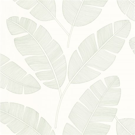 Moonlight Banana Tree Vert Amande 101100723 Moonlight Banana Tree Vert Amande 101100723