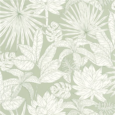 Odyssee Hawai Vert D Eau 101437041 Odyssee Hawai Vert D Eau 101437041