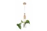 LAMPARA TECHO PARADISE REF-904038