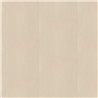 Daze Cashew W634-04