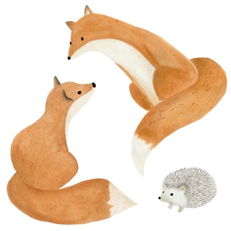 Fox Roux 88593395 Fox Roux 88593395