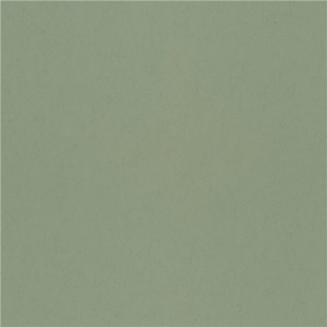 77006 77006