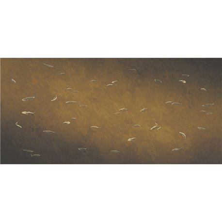 Aljibe MS4302-1 Aljibe MS4302-1