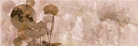 APHRODITE K022_37_02