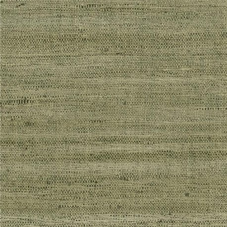 Lignes Olive 40505A Lignes Olive 40505A