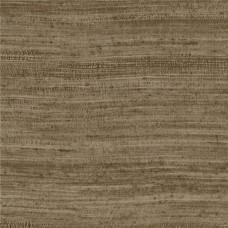 Tasar Bronze 72037A Tasar Bronze 72037A