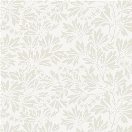 Dialytra Shell On Parchment 88-11045 Dialytra Shell On Parchment 88-11045