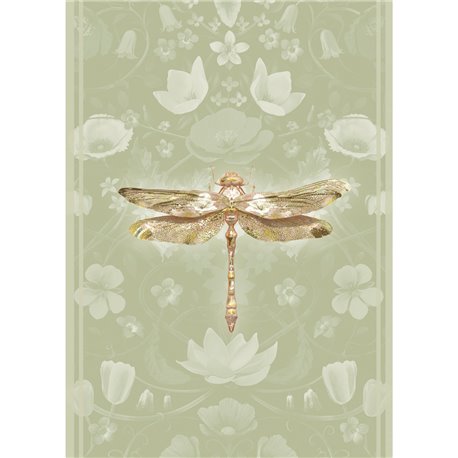 ANISOPTERA BUBBLEGUM IN CELADON ANISOPTERA BUBBLEGUM IN CELADON