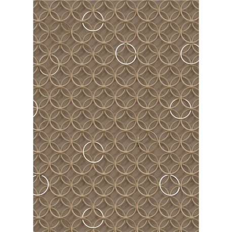 CIRCLES VICUNA CIRCLES VICUNA