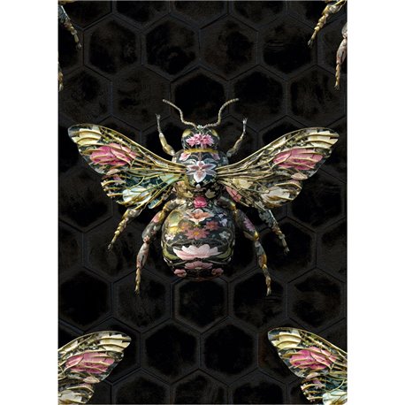 INSECTS NOIR BOMBUS BOTANICUS INSECTS NOIR BOMBUS BOTANICUS