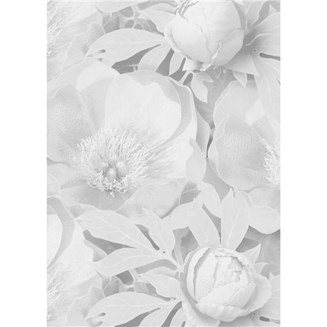 PEONY TEMPTRESS WHITE SUPERSIZED PEONY TEMPTRESS WHITE SUPERSIZED
