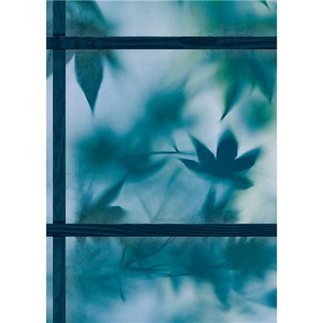 ZEN BLUE GREEN ZEN BLUE GREEN