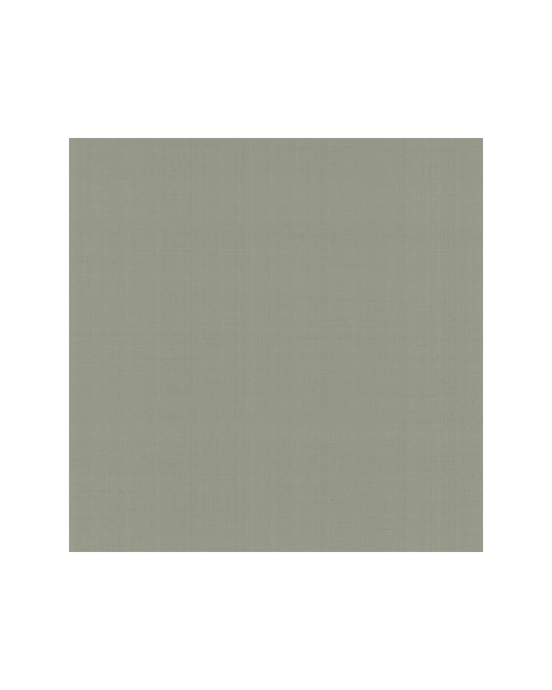 Papier peint PLAIN NABUCCO - TOSCA - MACBETH N. GA1 9065 - ARMANI CASA Papier peint PLAIN NABUCCO - TOSCA - MACBETH N. GA1 9065 - ARMANI CASA