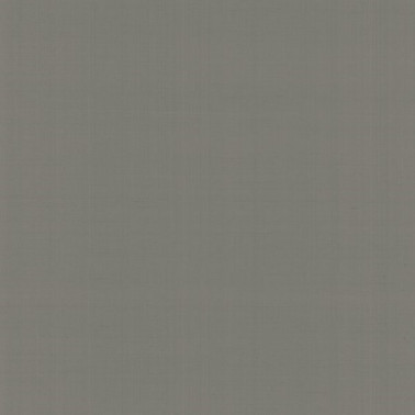 Papel Pintado PLAIN NABUCCO - TOSCA - MACBETH N. GA1 9066 - ARMANI CASA