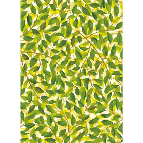 A MILLION LEAVES LIGHT A MILLION LEAVES LIGHT