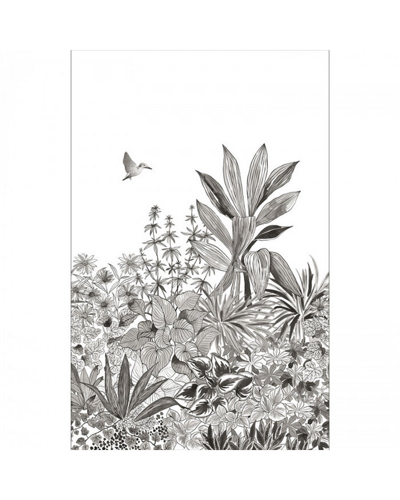 Colibri Noir Et Blanc 104140934 Colibri Noir Et Blanc 104140934