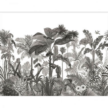 Exotica Noir Et Blanc 104120912